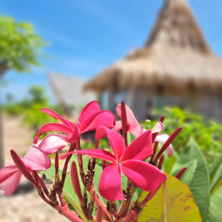 Hars Garden Sumba Hotel Waingapu Ngoại thất bức ảnh